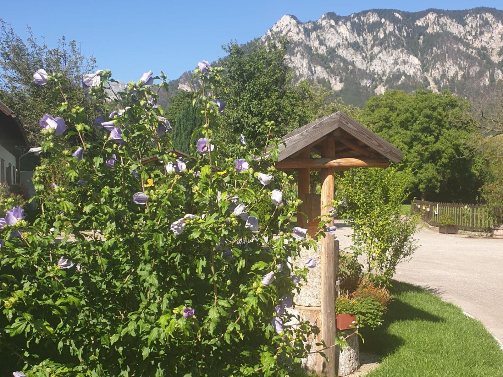 Familie Stoier Villa Reichenau Exterior photo